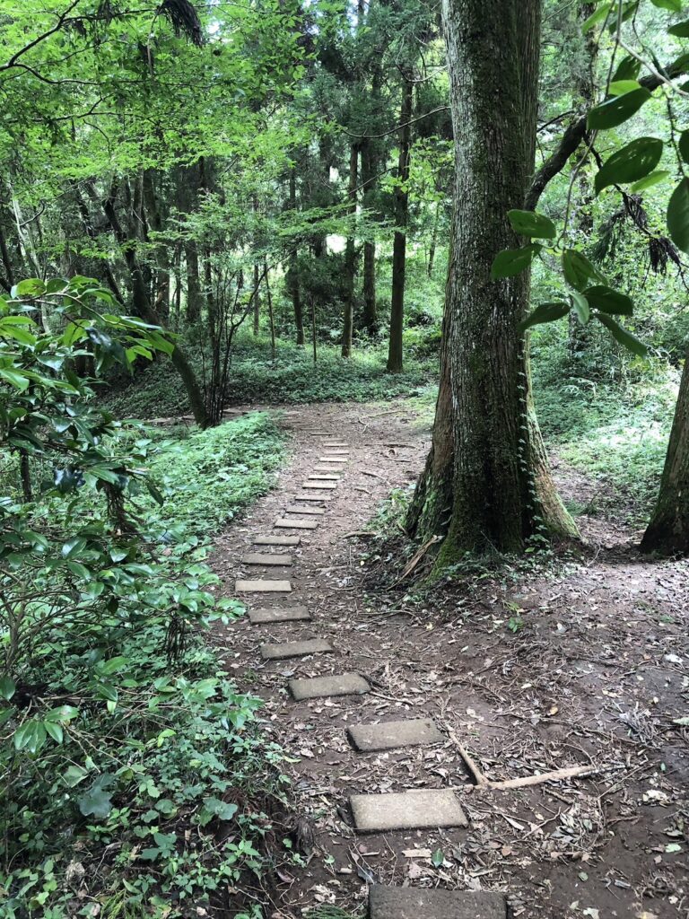東御手洗社へとつながる道