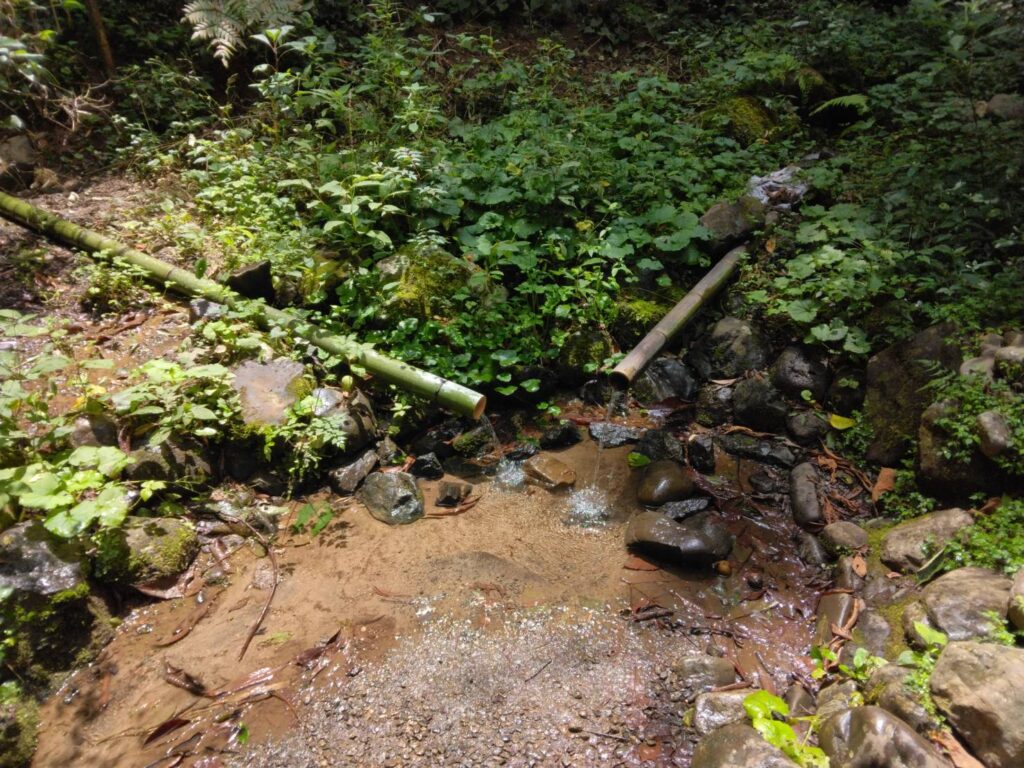 東御手洗社の手水舎